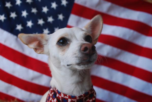 /Images/uploads/Humane Society of Utah/HSUCalendar/entries/1018thumb.jpg